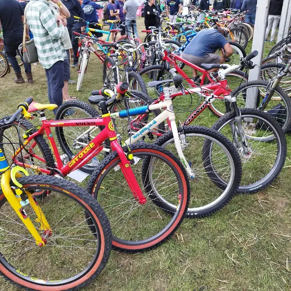 IMG_20230827_111059.webp