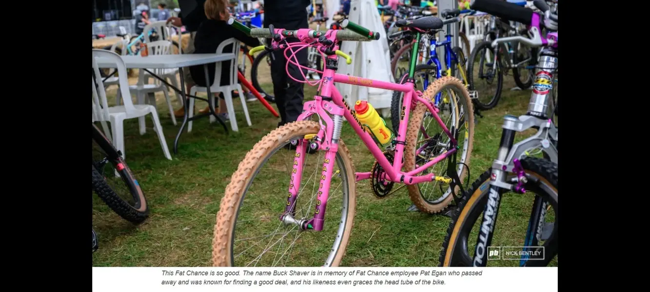 Screenshot_20230830_124434_Gallery.webp