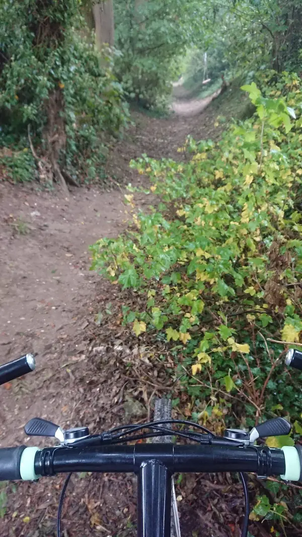 Ride September 2023 (2).webp