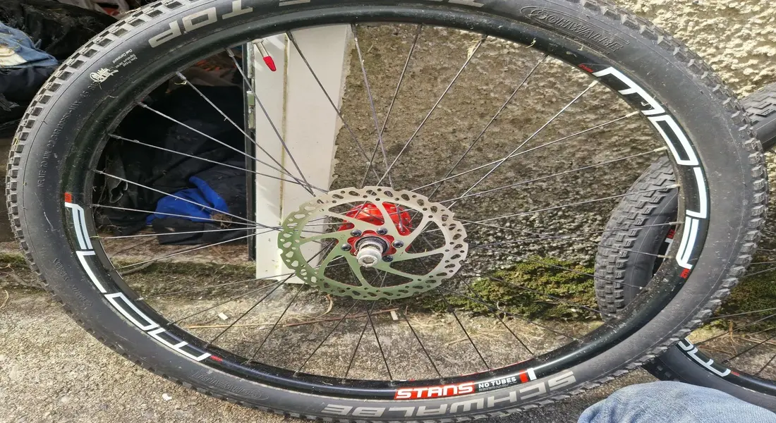 stans rear.jpg