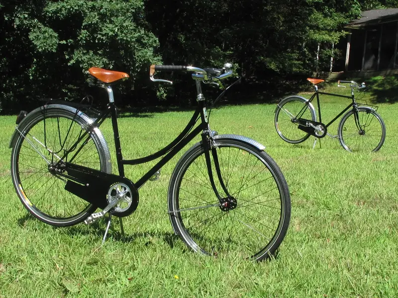 ant m 12.jpg