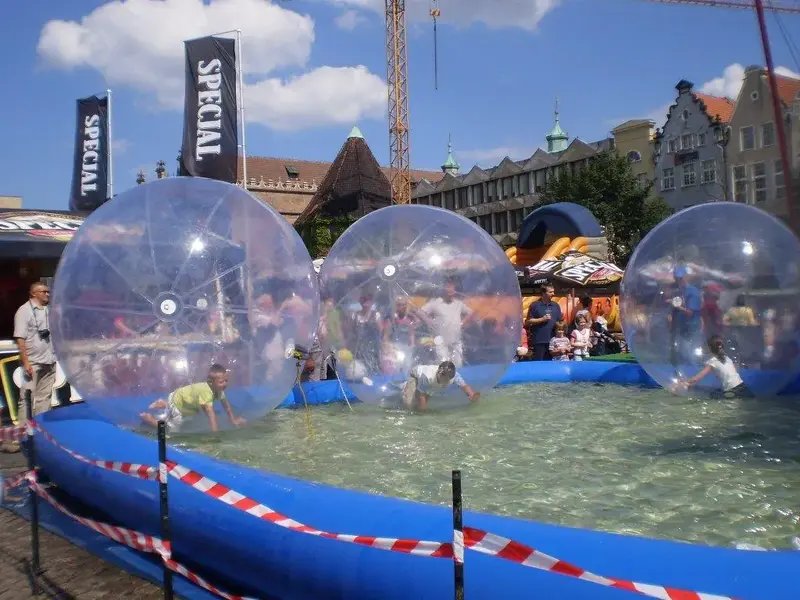 hamster ball.webp