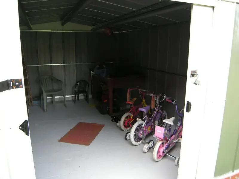 Shed2.webp