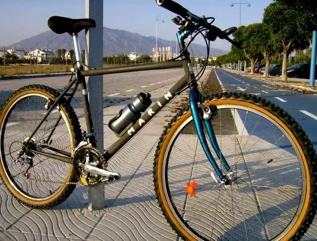 Marin 20.webp