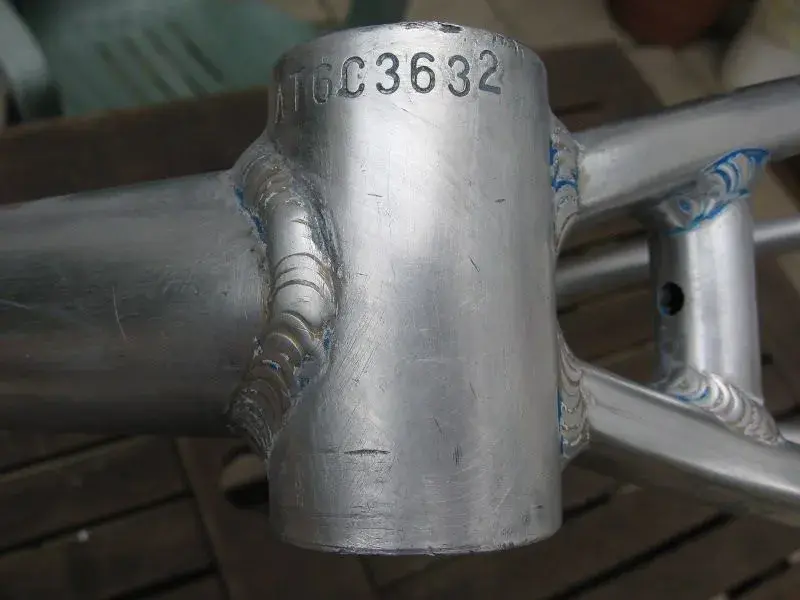 Merlin99.webp