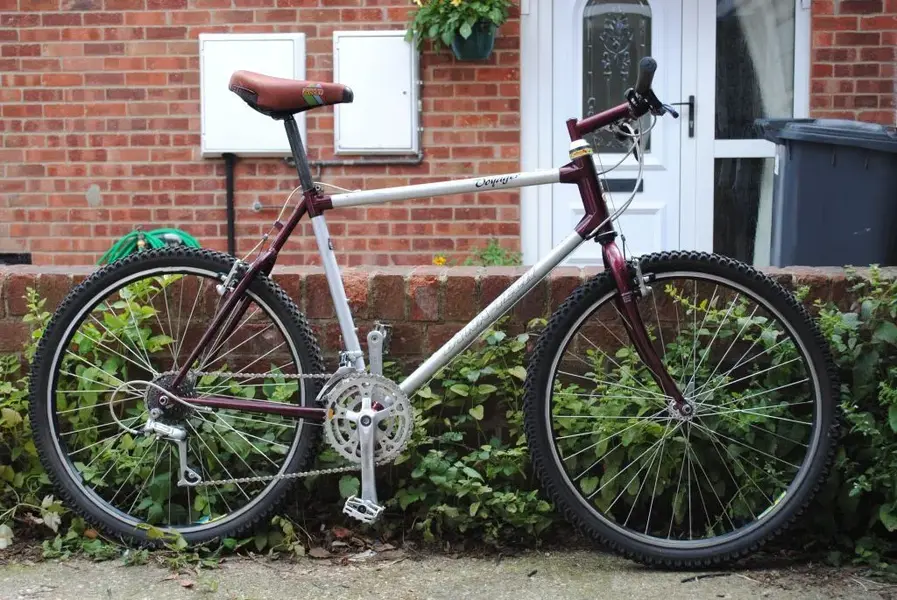 Raleigh Dyna-Tech Voyager.webp