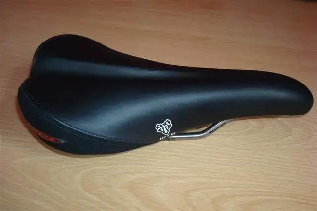 Saddle 1.webp