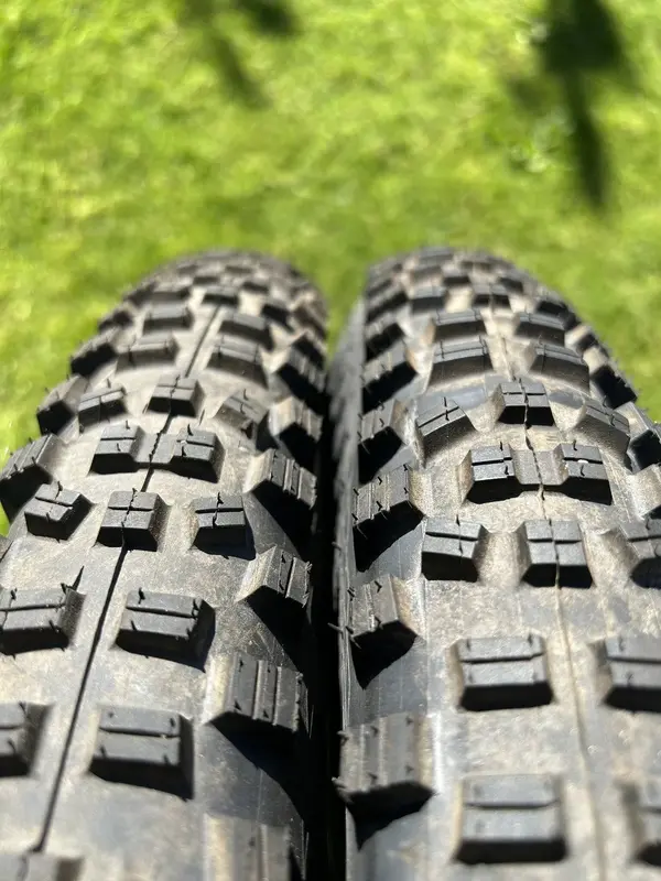 IMG_7367.jpeg