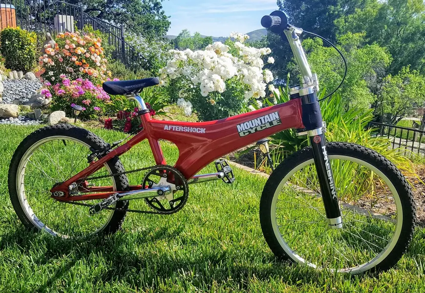 1999, Mountain Cycle Shockwave BMX.webp