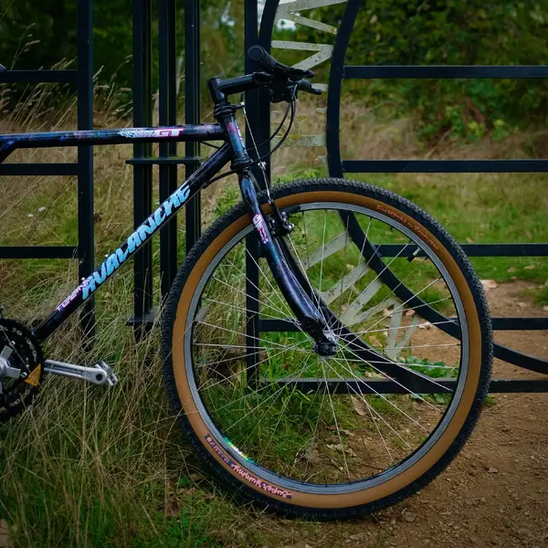 DSCF8822.webp
