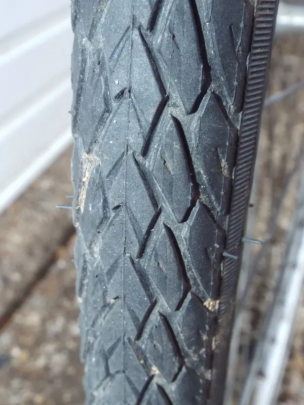 DSCF2361.webp