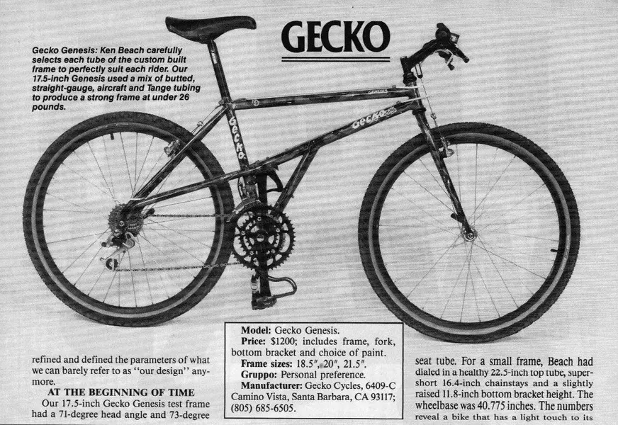 491Gecko2.webp
