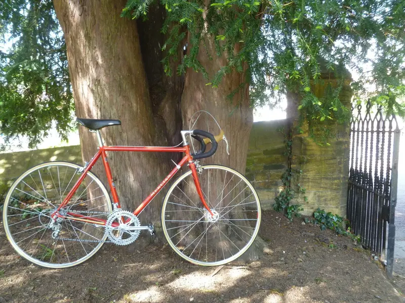 squirrelchaser1980MercianSpecial.webp