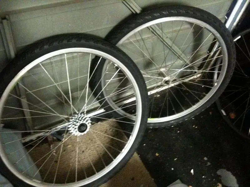 campag.webp