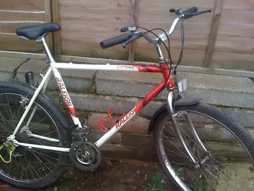 Raleigh Cobra.webp