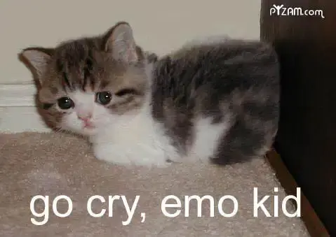 go-cry-emo-kid.webp