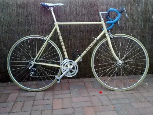 raleigh.webp