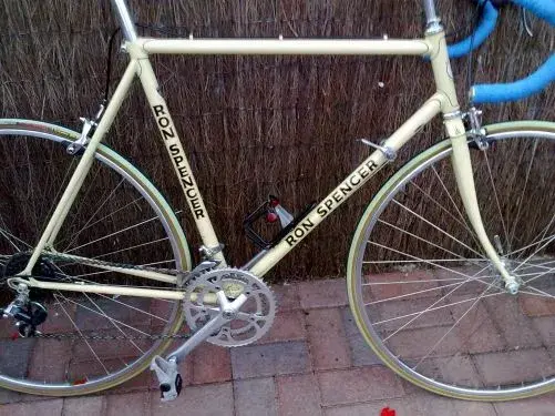 raleigh 1.webp