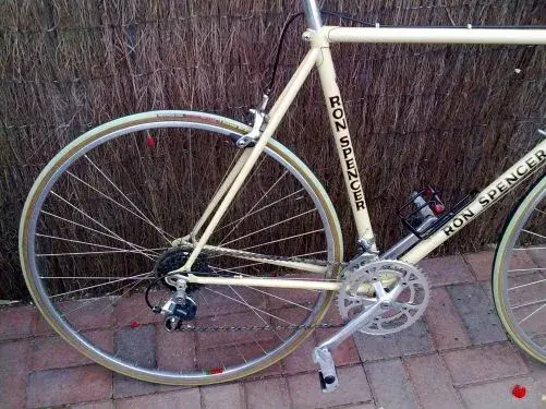 raleigh 2.webp
