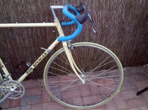 raleigh 3.webp