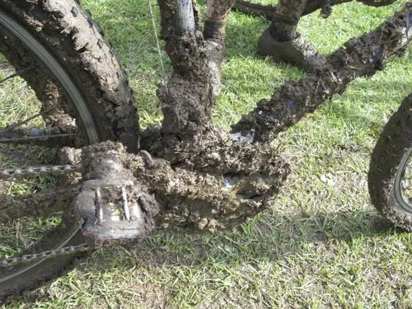 Credit to Shimano.webp