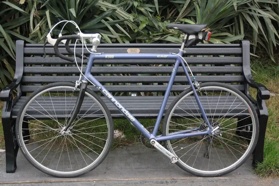 Cannondale_port.webp