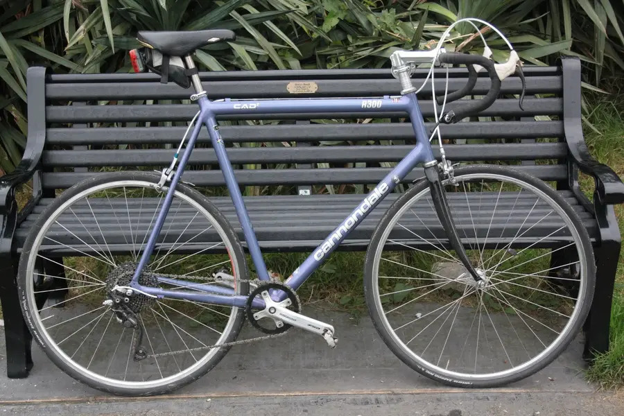 Cannondale_starboard.webp