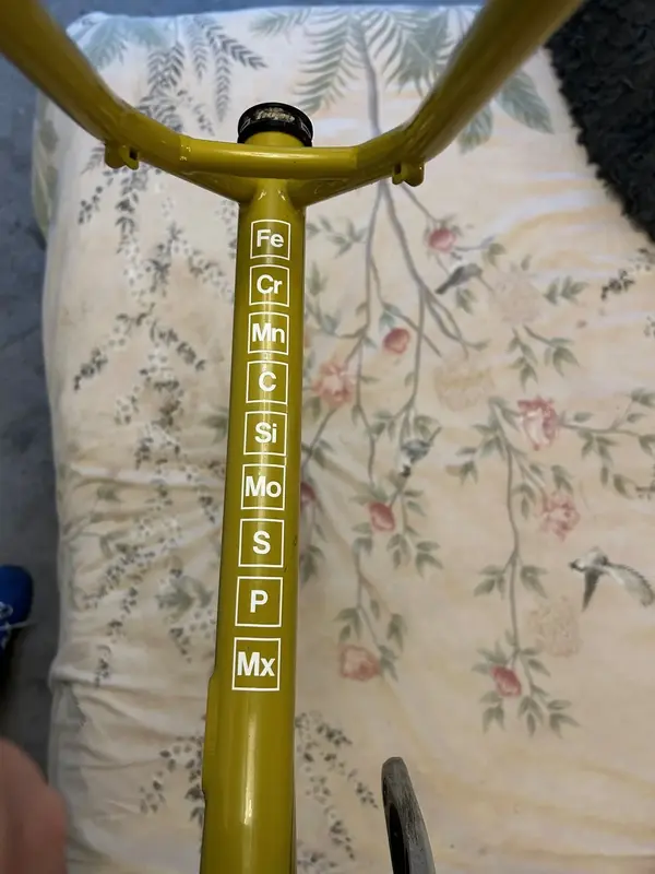 Pipedream Rear.webp