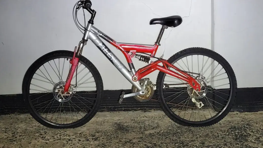 Raleigh lithium mountain bike on sale