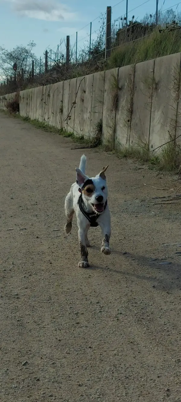 Screenshot_20231028_102917_Gallery.webp