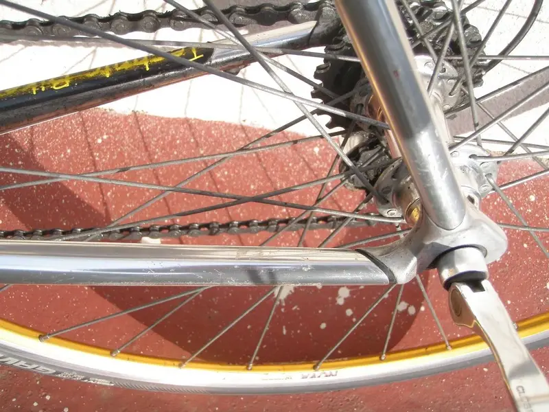PA290440.webp