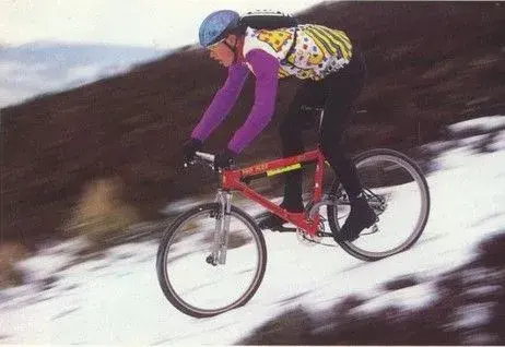 Proflex 853 MBUK 1993 pic.jpg