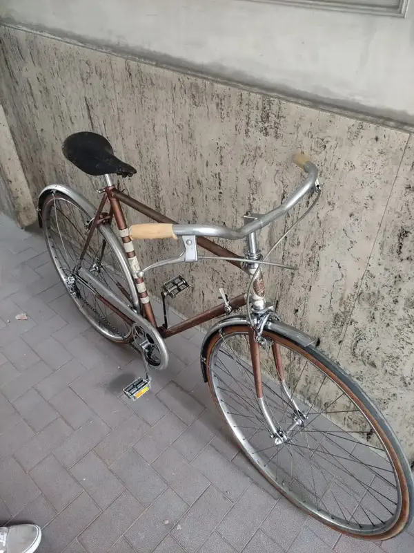 WhatsApp Image 2023-11-02 at 12.16.48.webp