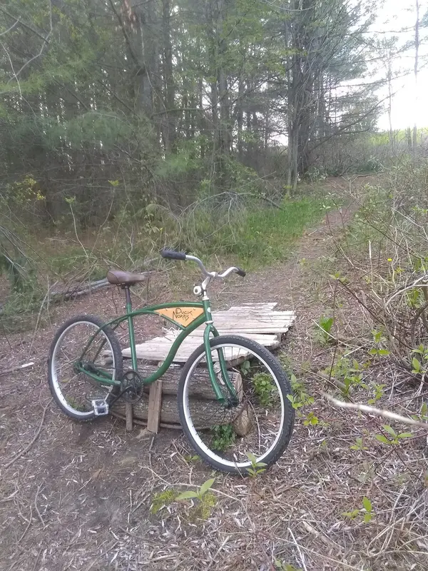 232041-IMG-20230510-185444147.webp