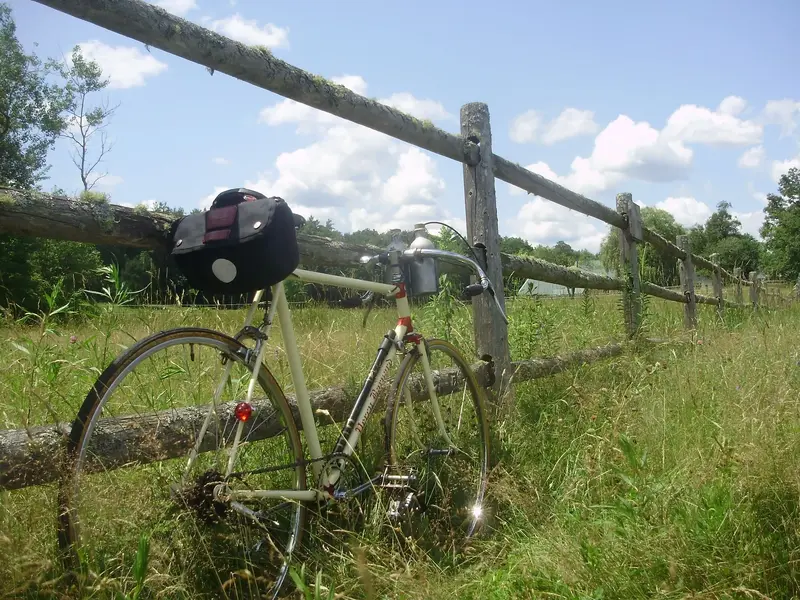 bike corral2.webp