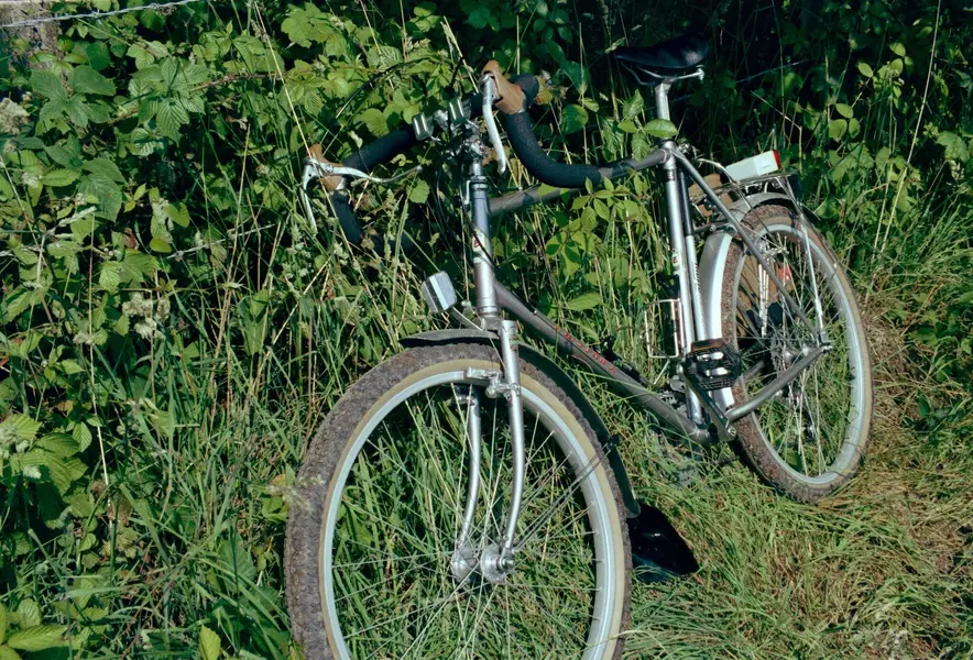 DSC_2585cc.jpg