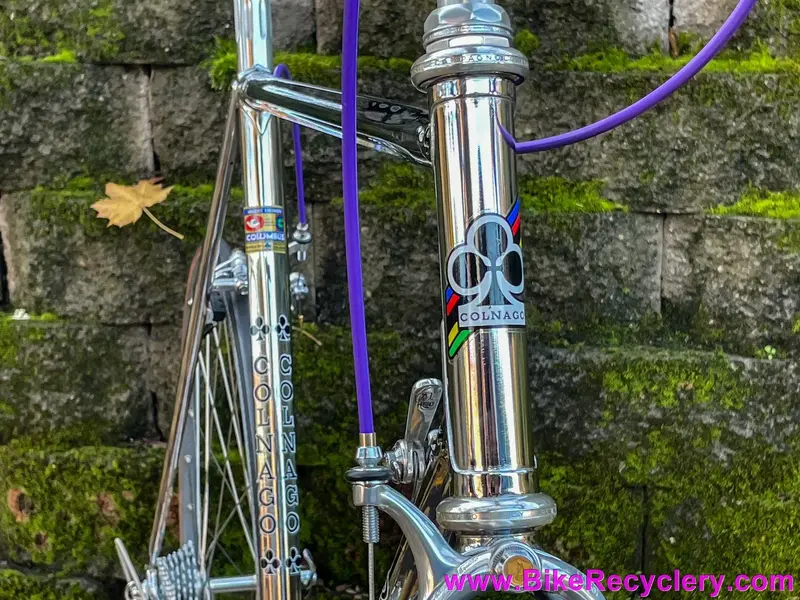 nos_colnago_master_arabesque_1983_chrome_campagnolo_super_record_50th_30256.webp