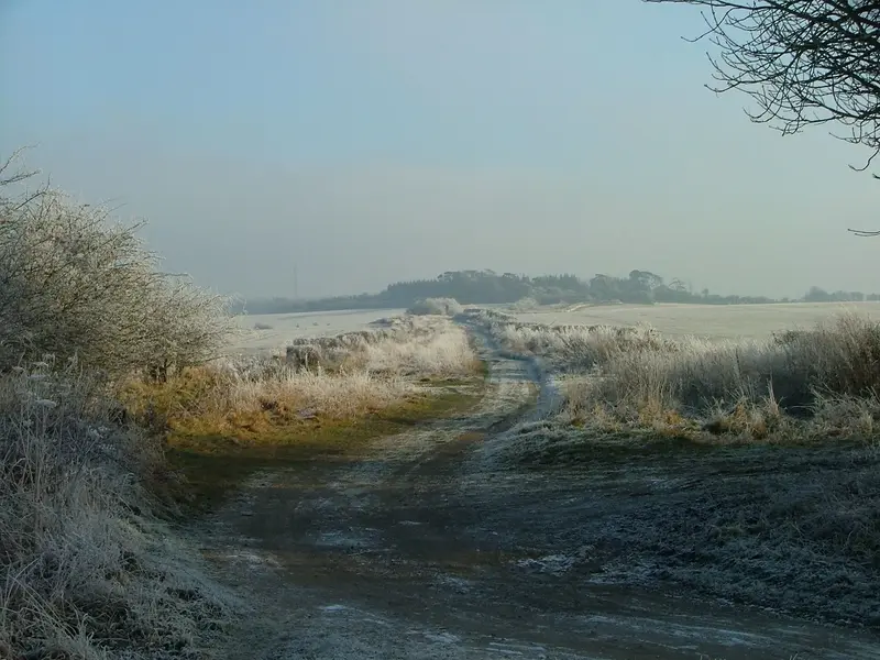 2009_0111Image0005.JPG