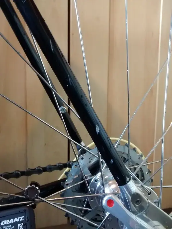 Rear_stays.webp