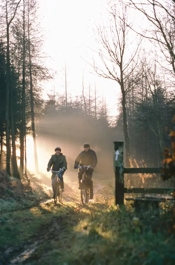 Wendover Woods December 1984.webp