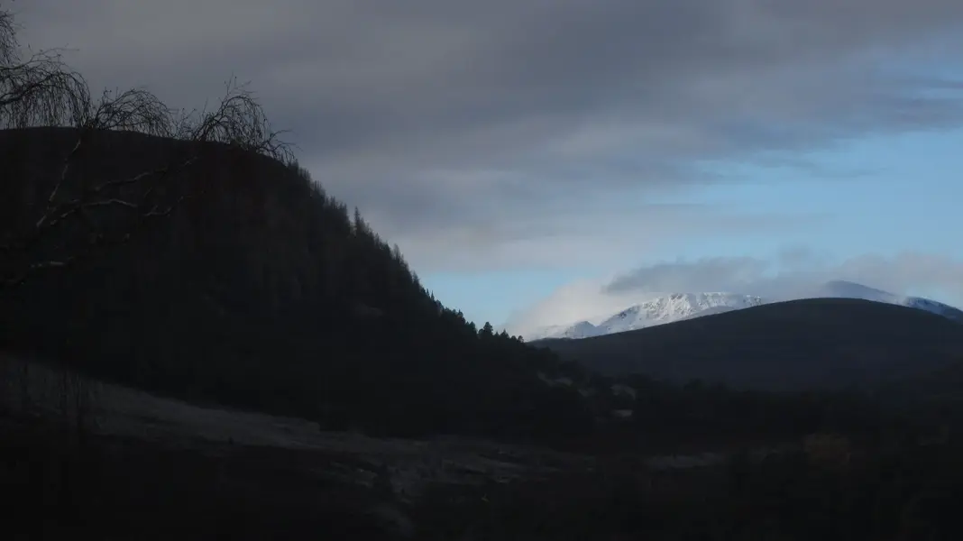 Cairngorms-171123.webp