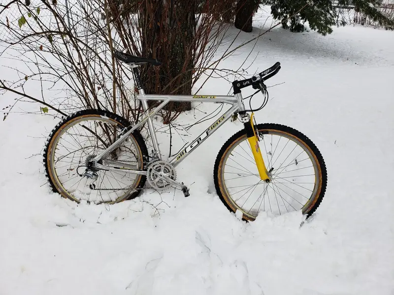 20190112_130702.webp
