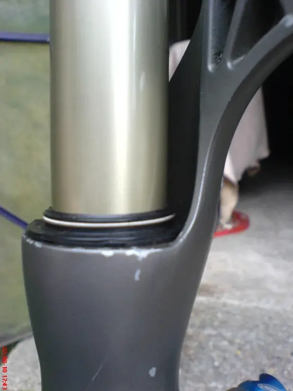 Left Leg.webp