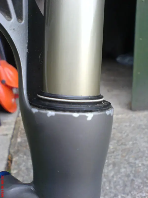 Right Leg.webp