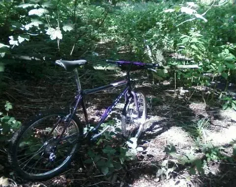 Photo-0212e._e1.webp