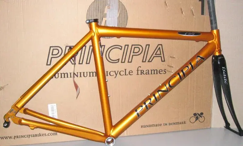 Rs6GOLD!.webp