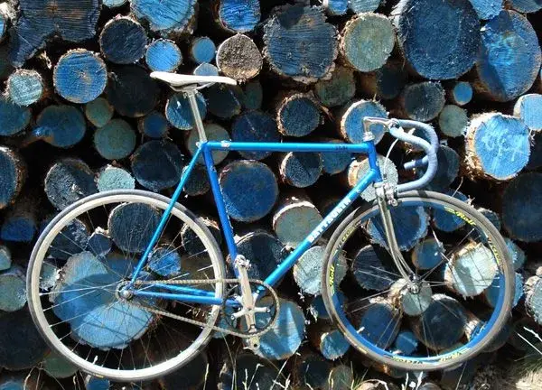 battaglinblue.webp
