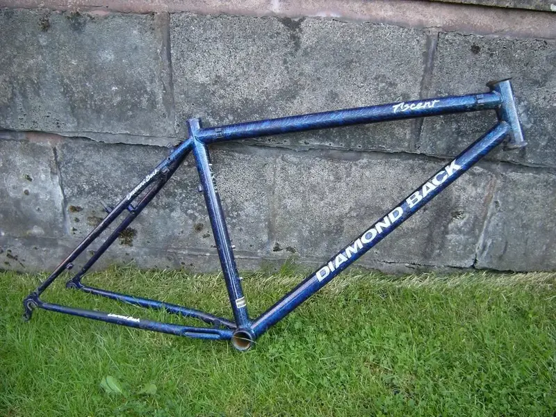Diamondback 1.webp