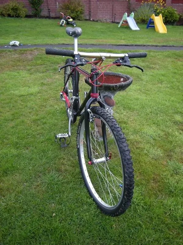 Diamondback 3.webp