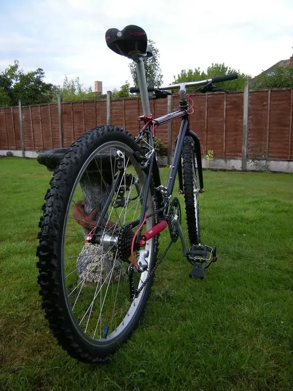 Diamondback 4.webp